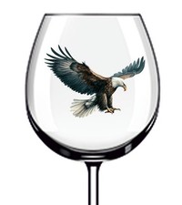 12x Colourful Hunting Eagle