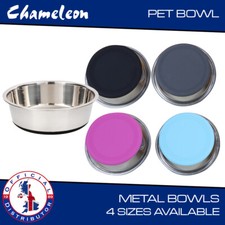 Pet bowl dog puppy - dog,