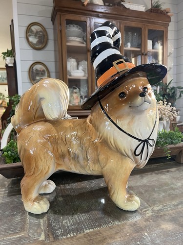 Halloween pomeranian with - halloween,