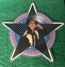 GARY HOLTON VINYL PICTURE DISC CATCH A FALLING STAR & ANGEL VERY RARE