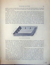 Original Old Antique Print