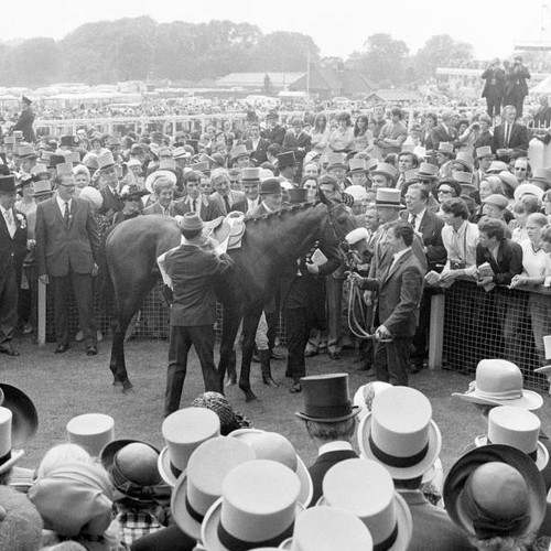 Mill reef ridden - reef,, g.