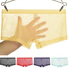 Men Mesh Sheer See Through