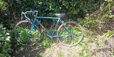 Raleigh Arena GTX Vintage