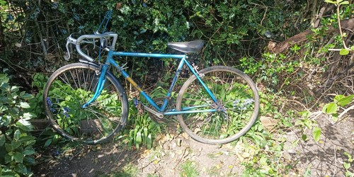 Raleigh arena gtx - arena, vintage