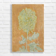 Floral Chrysanthemum Canvas