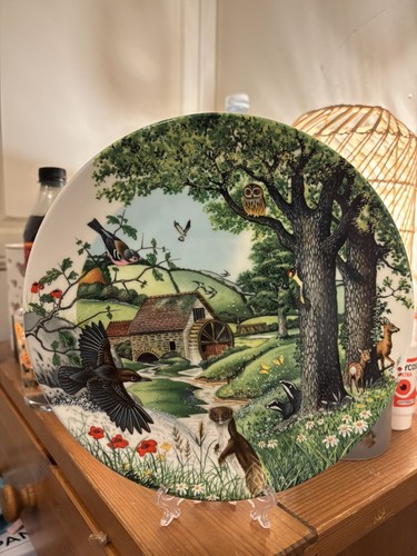 Wedgwood bone china plate - bone,