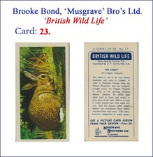 Brooke Bond, 'MUSGRAVE Bro's Ltd. Single Card, 'British Wild Life'