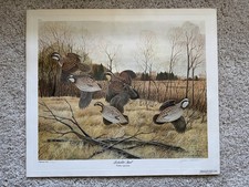 John Ruthven "Bobwhite Quail"