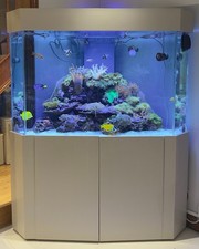 600L Marine Reef Aquarium
