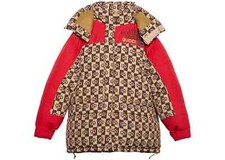 Authentic Men's The North Face