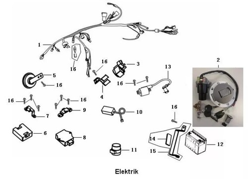 Sfm sachs wiring harness - /,