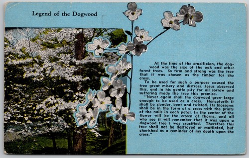 Legend the dogwood tree - legend,