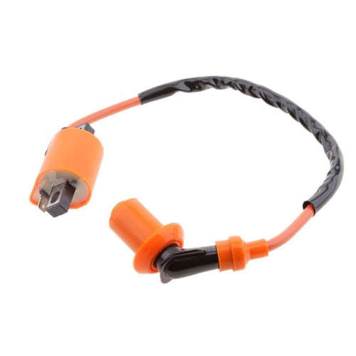 Ignition coil assembly for - ignition,