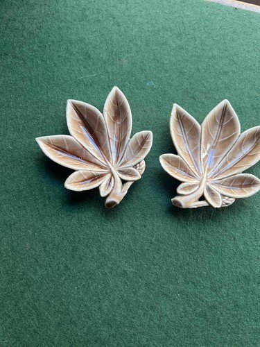 Pair wade leaf - leaf, trinket