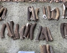 Antler Dog Chew Bundle