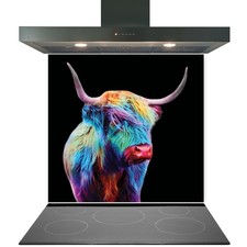 Kitchen Glass Splashback