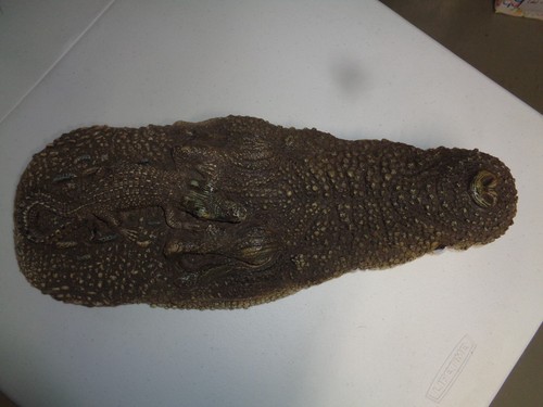 Alligator and baby - alligator,