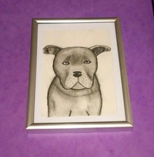 Original Pencil Drawing Dog
