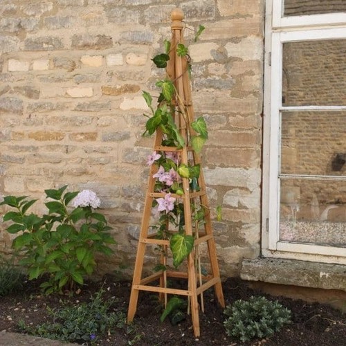 Smart garden woodland obelisk - woodland,