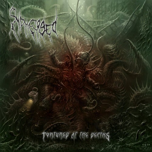 Submerged tortured at the - :,
