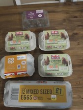 6 X Egg Boxes Various sizes Good Condition seedlings arts and crafts Gardening