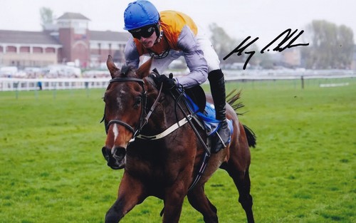 Horse racing harry cobden - horse,