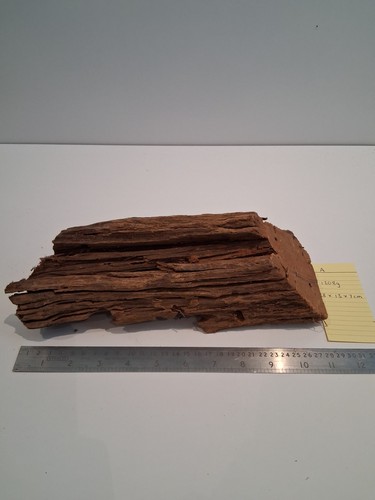 Natural driftwood bogwood - natural,