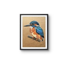 ORIGINAL Hand Drawn Kingfisher
