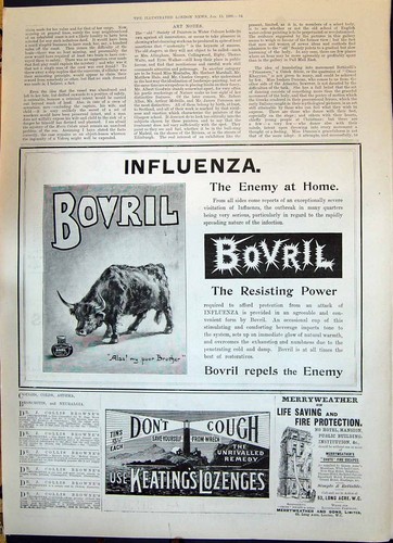 Old print 1900 - print, bovril