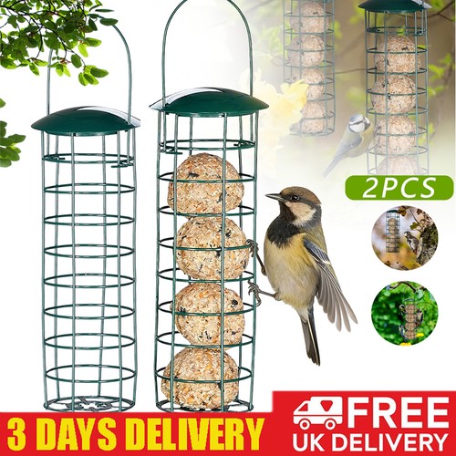Wild bird hanging seed - bird,
