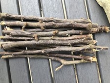 Apple chew sticks 100% Natural Treat for Rabbit, Chinchilla, Small Pet 100g