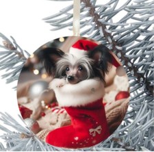 Chinese Crested Dog Hanging