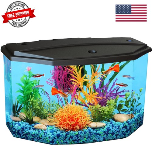 Plastic gallon aquarium - plastic, 3-gallon