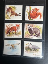 Quaker Oats (Sugar Puffs) 1976