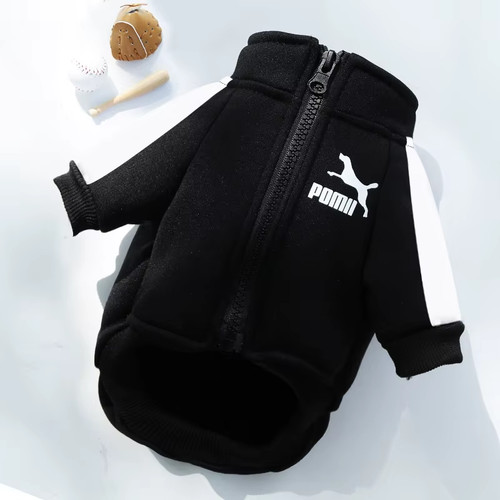 Winter dog jacket - dog,