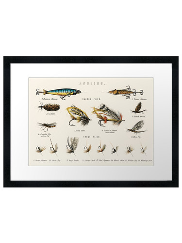 Fly fishing chart framed - fly,