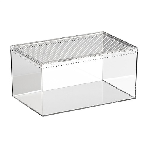 Spider enclosure transparent - spider,