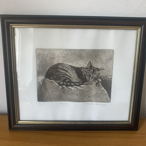 Nicolette savage framed and - nicolette,