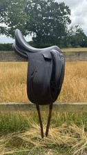 Devoucoux Mendia Dressage
