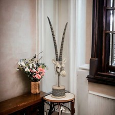 Resin Fabric Effect Antelope Head On A Stand Sculpture With Gold Beaded Detail