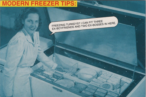 Modern freezer tips - freezer,