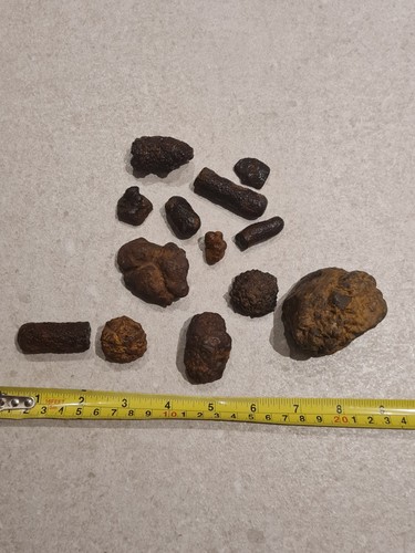 Iron pyrite marcasite noducles - iron,