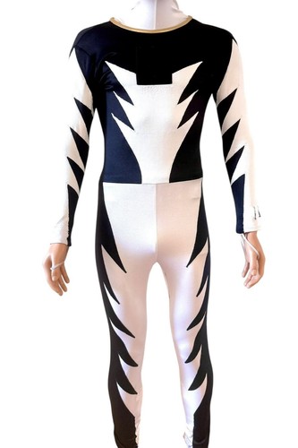 Power rangers dino thunder - power,