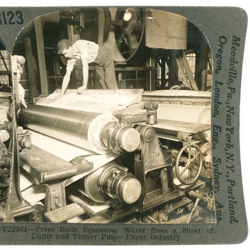Pressing wood pulp sheets - wood,