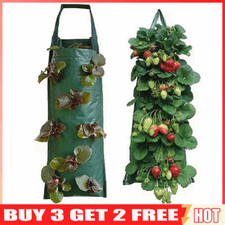 Strawberry Grow Bag Hanging