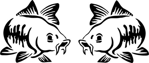 Carp fish stickers - , van