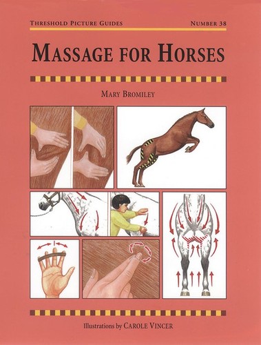 Massage for horses - massage,