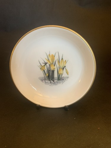 Royal worcester fine - royal,