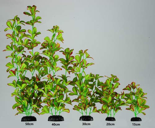 Light green silk aquarium - silk,